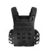 Porte-plaques Tasmanian Tiger Plate Carrier QR SK ANFIBIA chez www.equipements-militaire.com